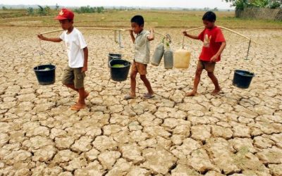 WhatsApp Image 2023-03-09 at 18.52.40 WhatsApp Image 2023-03-09 at 18.52.40